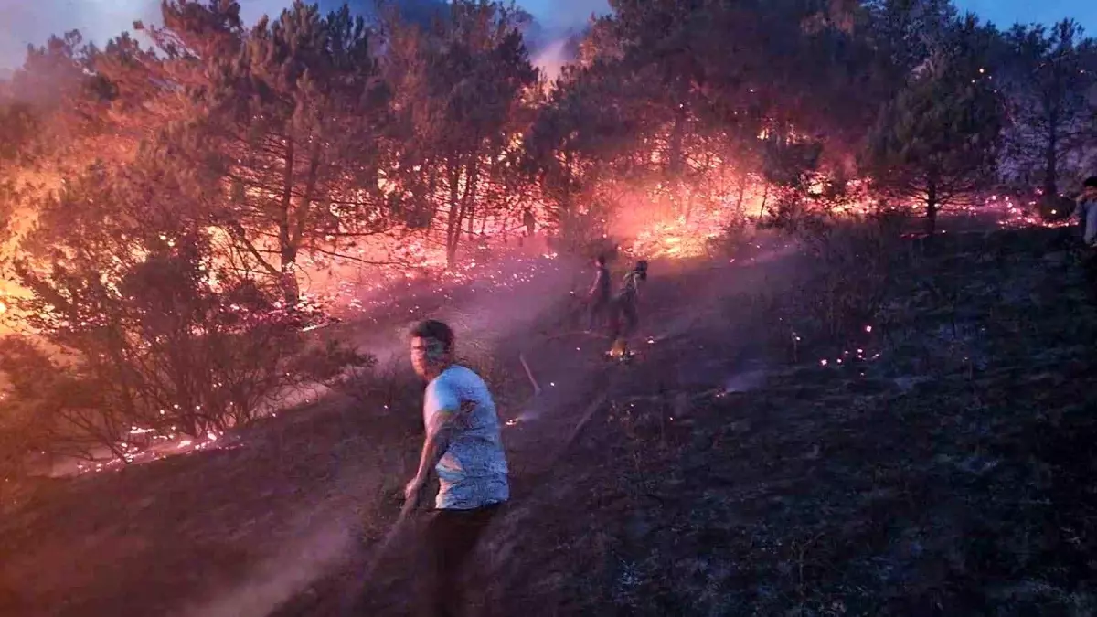 Sakarya’da Makilik Yangını Kontrol Altına Alındı