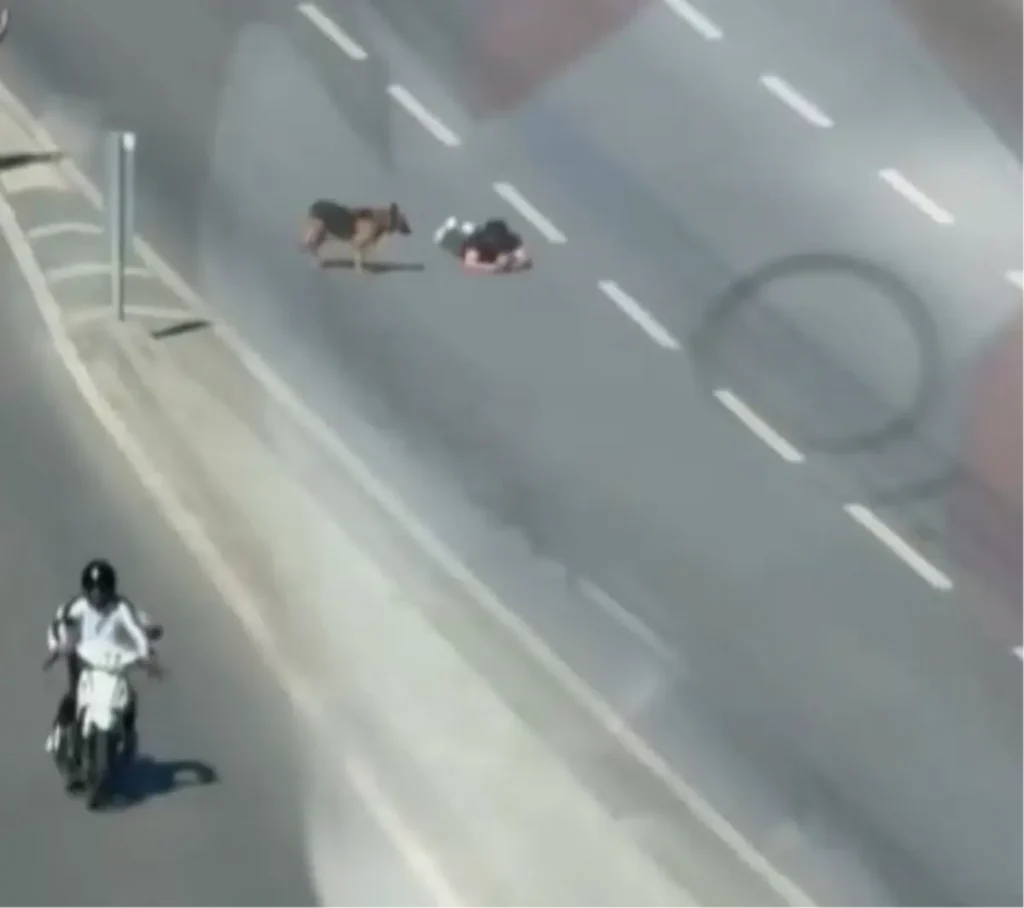 Samsun’da Şaşırtıcı Görüntü: Adam Ana Yolun Kenarında Süründü