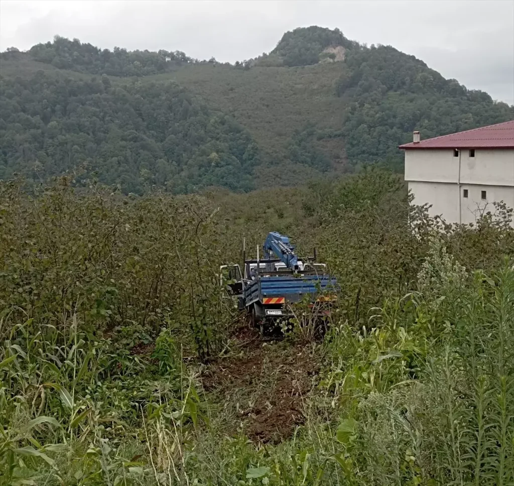 Fındık Bahçesine Yuvarlanan Kamyonette 3 Kişi Yaralandı