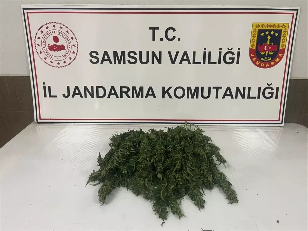 Uyuşturucu Operasyonunda 700 Gram Esrar Ele Geçirildi