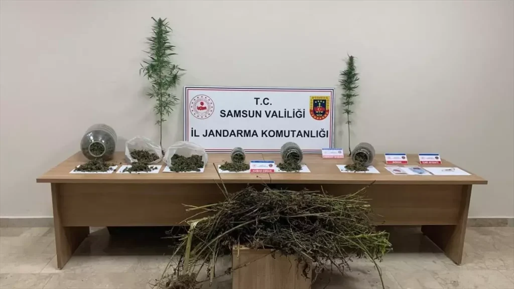 Samsun’da Uyuşturucu Operasyonu: 1 Şüpheli Gözaltında