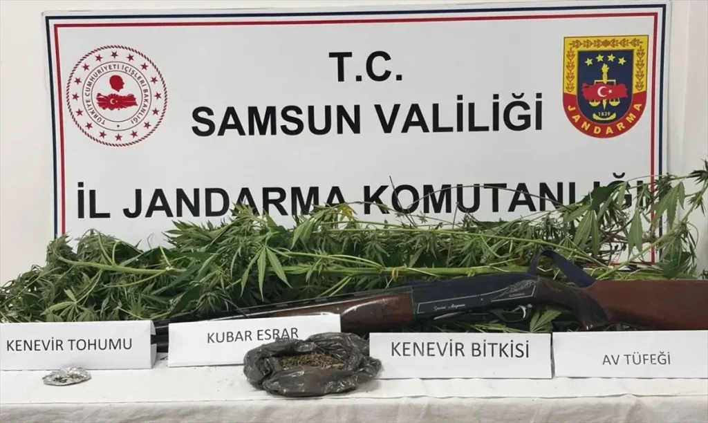 Uyuşturucu Operasyonu: 1 Gözaltı