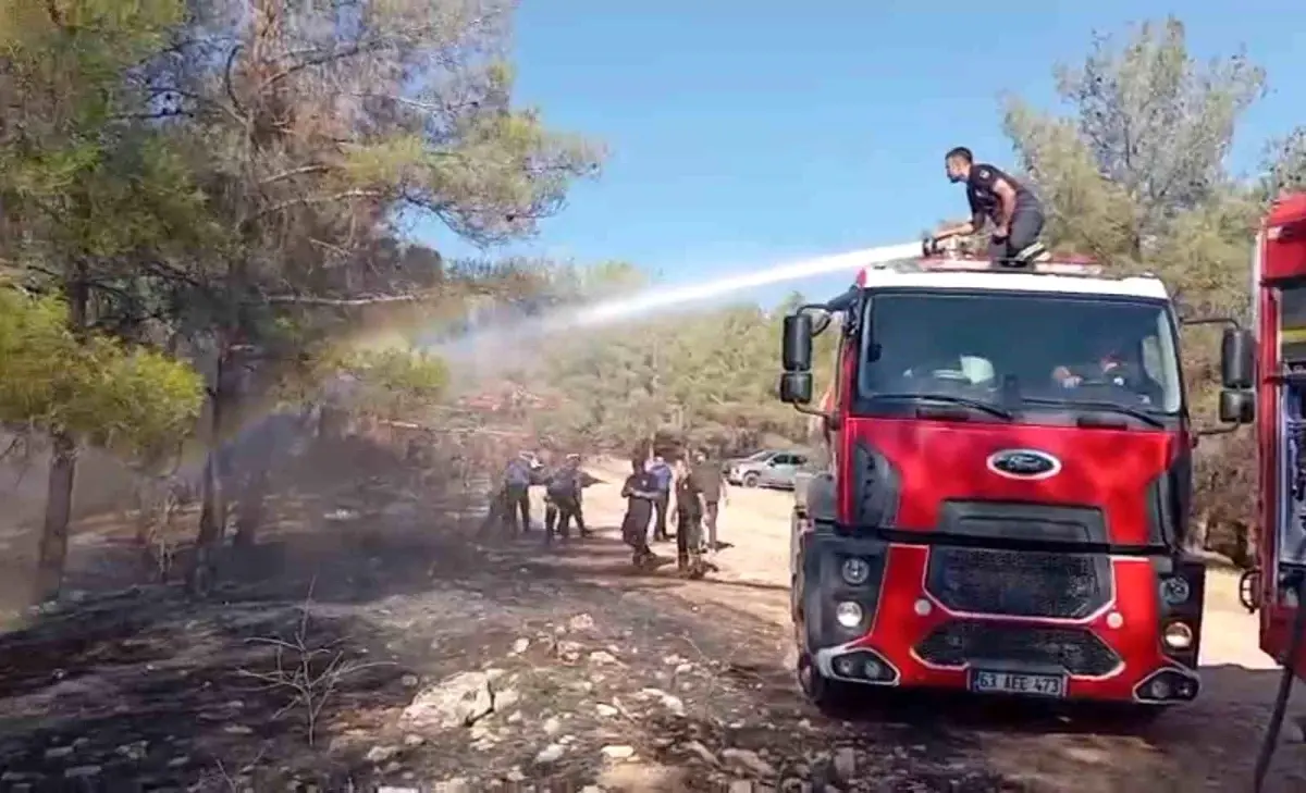 Şanlıurfa’da Orman Yangını Kontrol Altına Alındı