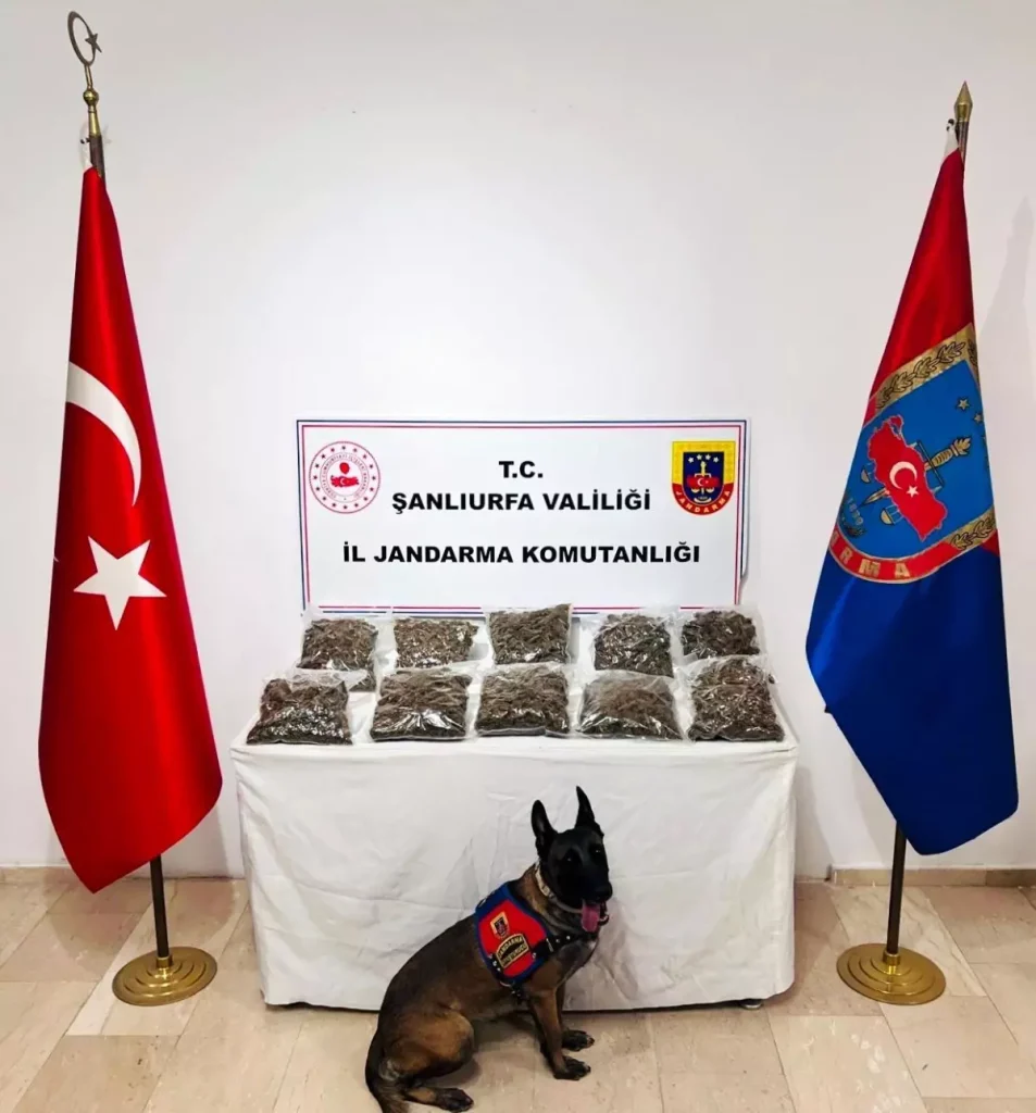 Şanlıurfa’da 7 Kilogram Skunk Maddesi Ele Geçirildi