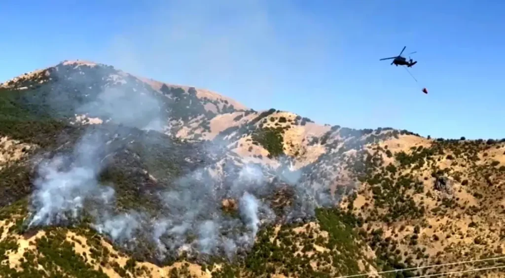 Hakkari’de Ormana Hava ve Kara Desteği