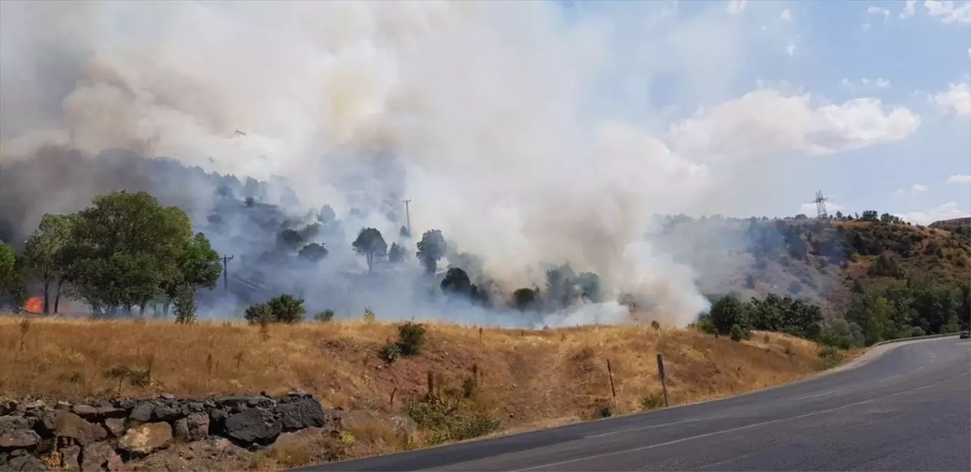 Sivas’ta Ağaçlık Alanda Yangın: Ekipler Çalışıyor