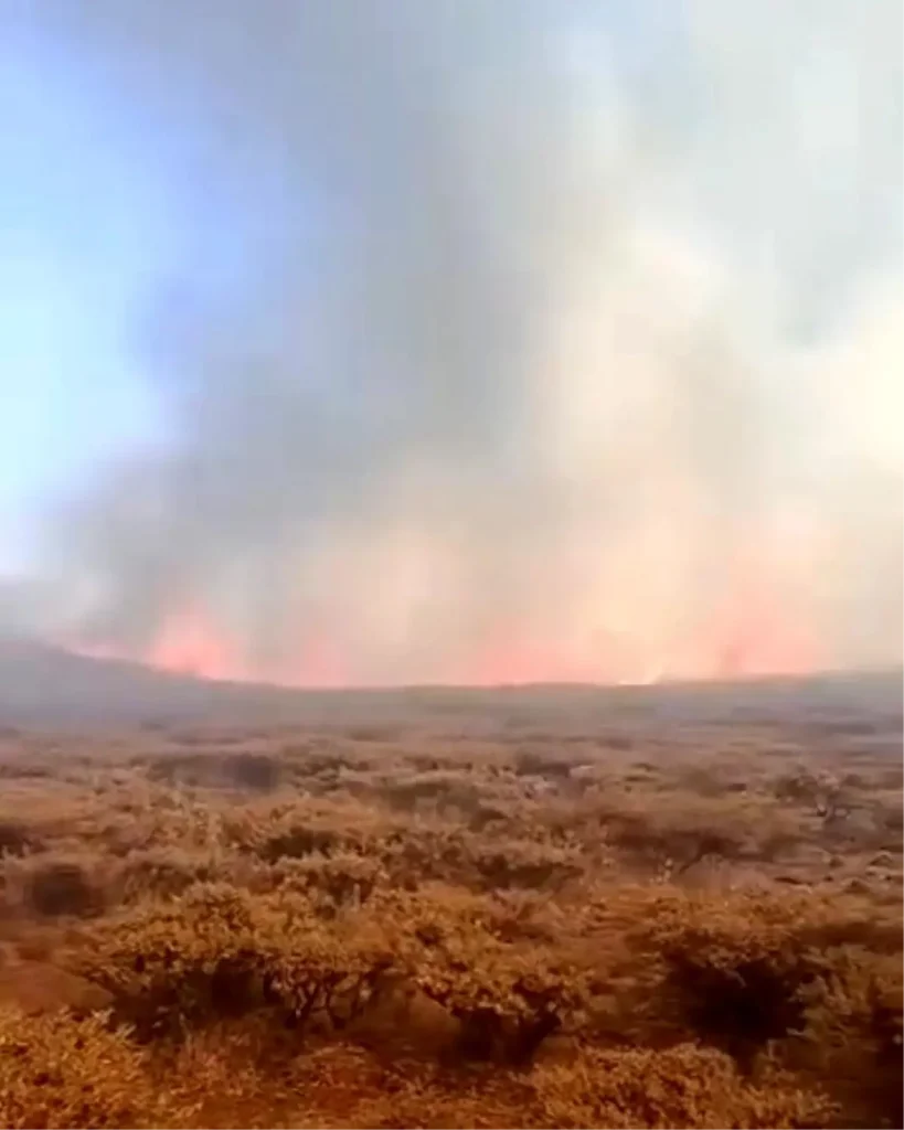 “Şanlıurfa’da Karacadağ Yangını Kontrol Altına Alınmaya Çalışılıyor”