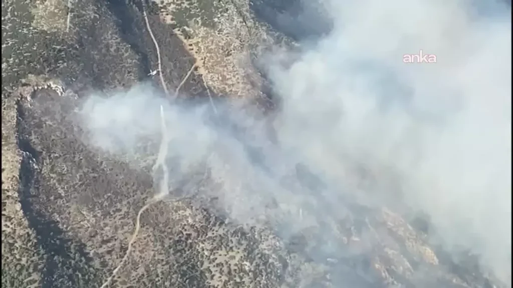 Aydın’ın Söke İlçesinde Makilik Yangını Kontrol Altına Alınmaya Çalışılıyor