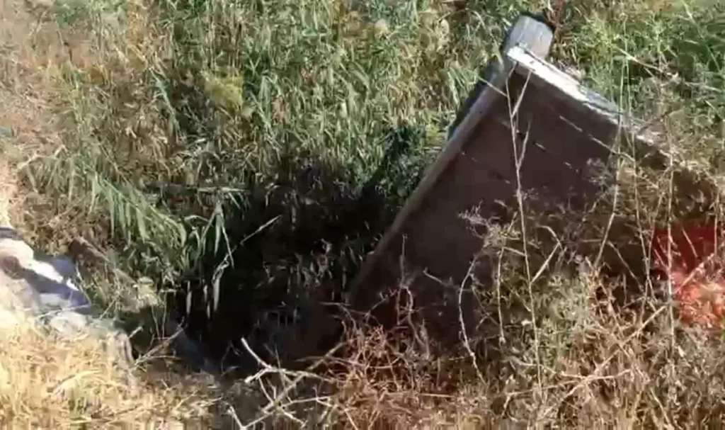 At Tahliye Kanalından İtfaiye Ekipleri Tarafından Kurtarıldı