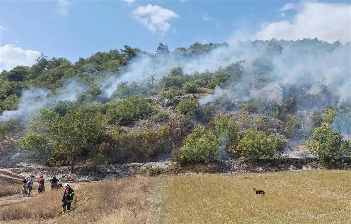 Tokat’ta Orman Yangını Hemen Söndürüldü