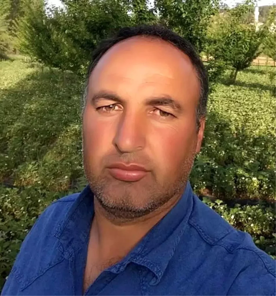 Tarla Yolu Trajedi: Sürücü Ağaç Çarpması Sonrası Hayatını Kaybetti