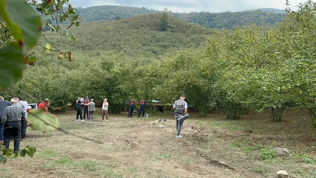 Traktör Kazası: 89 Yaşında Fındık Tarlasında Hayatını Kaybetti