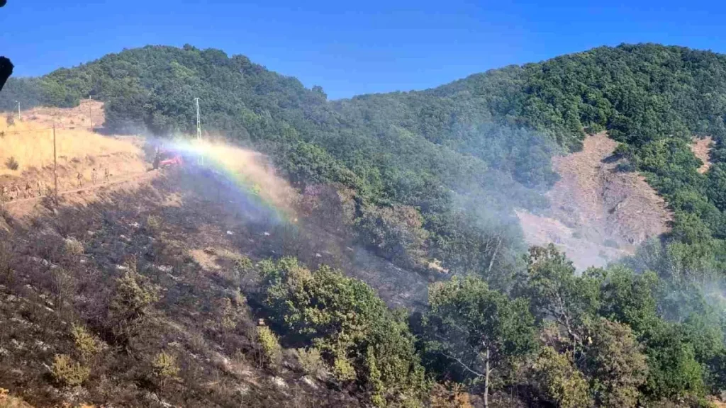 Tunceli’de Kırsal Alan Yangını Kontrol Altına Alındı