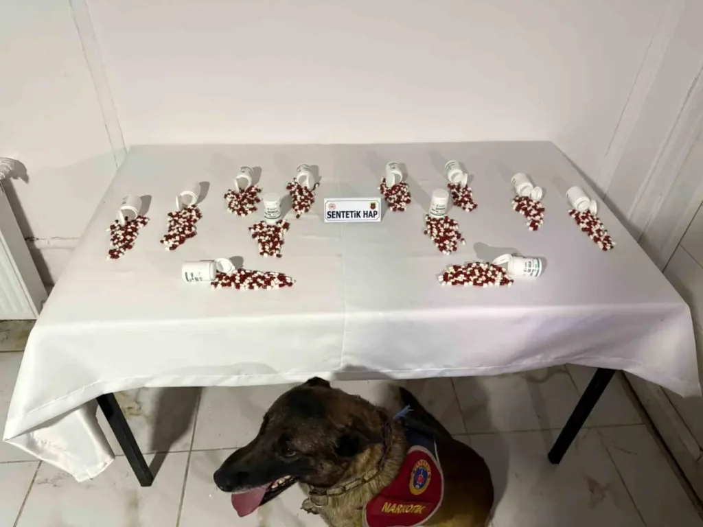 Tunceli’de Uyuşturucu Operasyonu: 654 Hap Ele Geçirildi