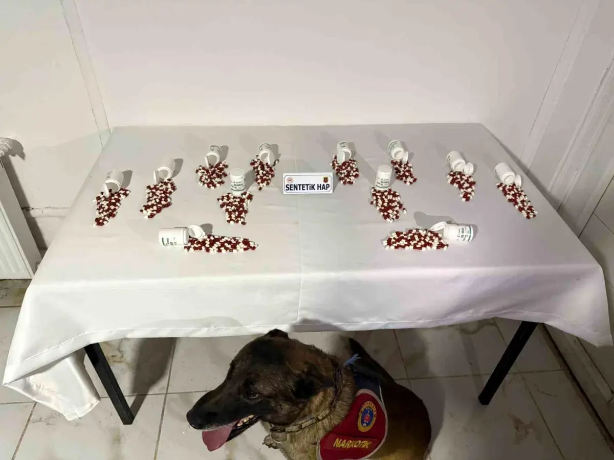 Tunceli’de Uyuşturucu Operasyonu: 654 Hap Ele Geçirildi