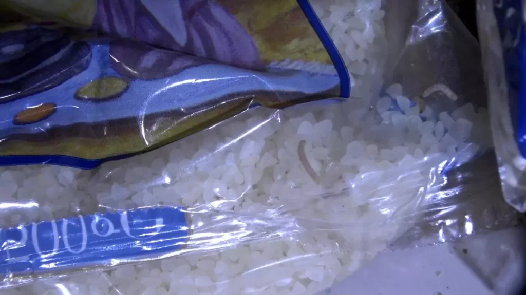 Marketlerde Kurtlanmış ve Boceklenmis Ürünler Ele Geçirildi