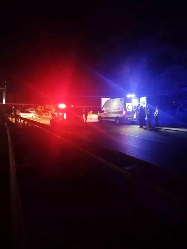 Zonguldak’ta Alkollü Sürücüden Trajik Kaza!