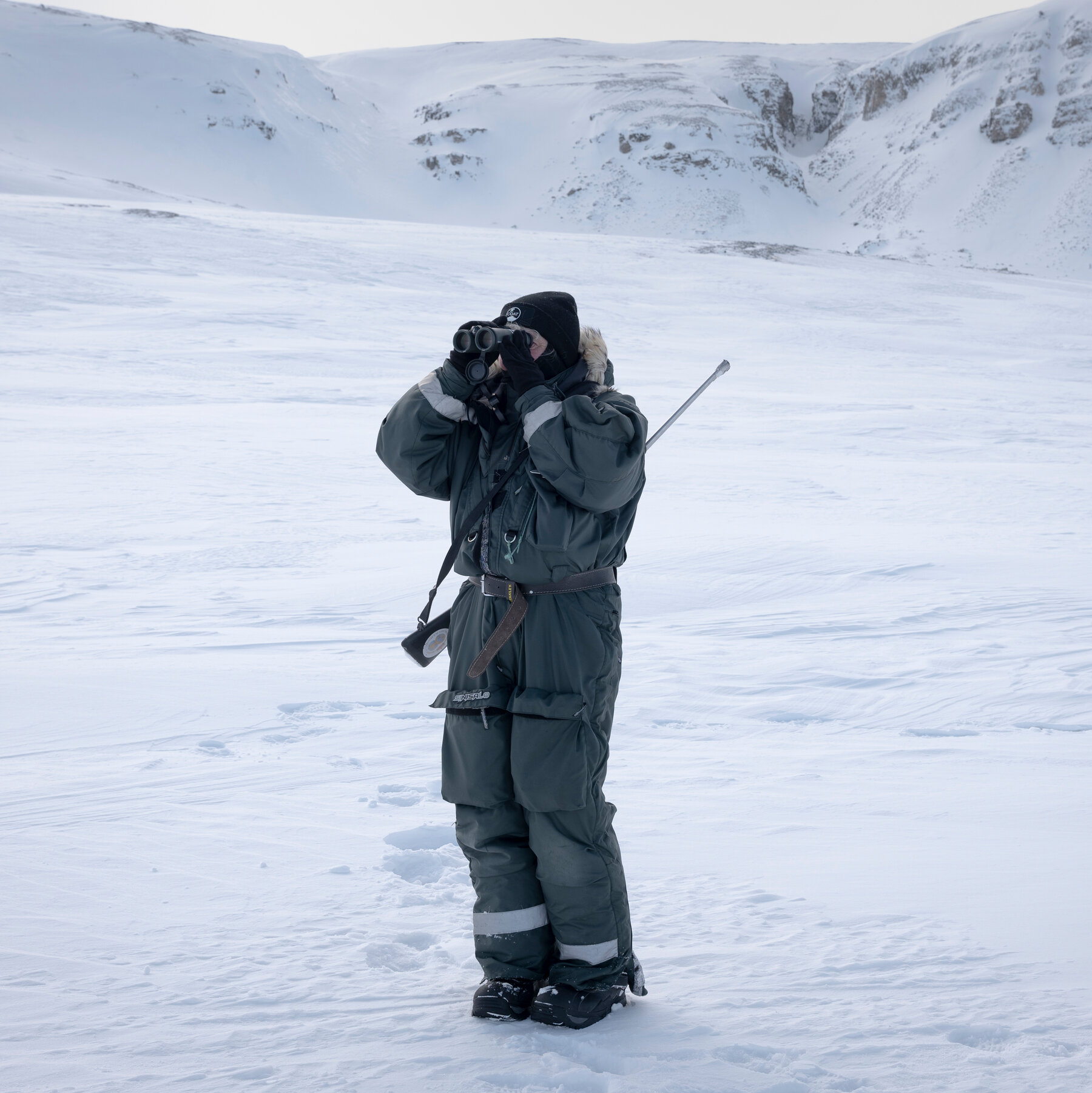 Curious Reindeer and Charging Polar Bears: The Changing Wildlife at the Top of the Earth