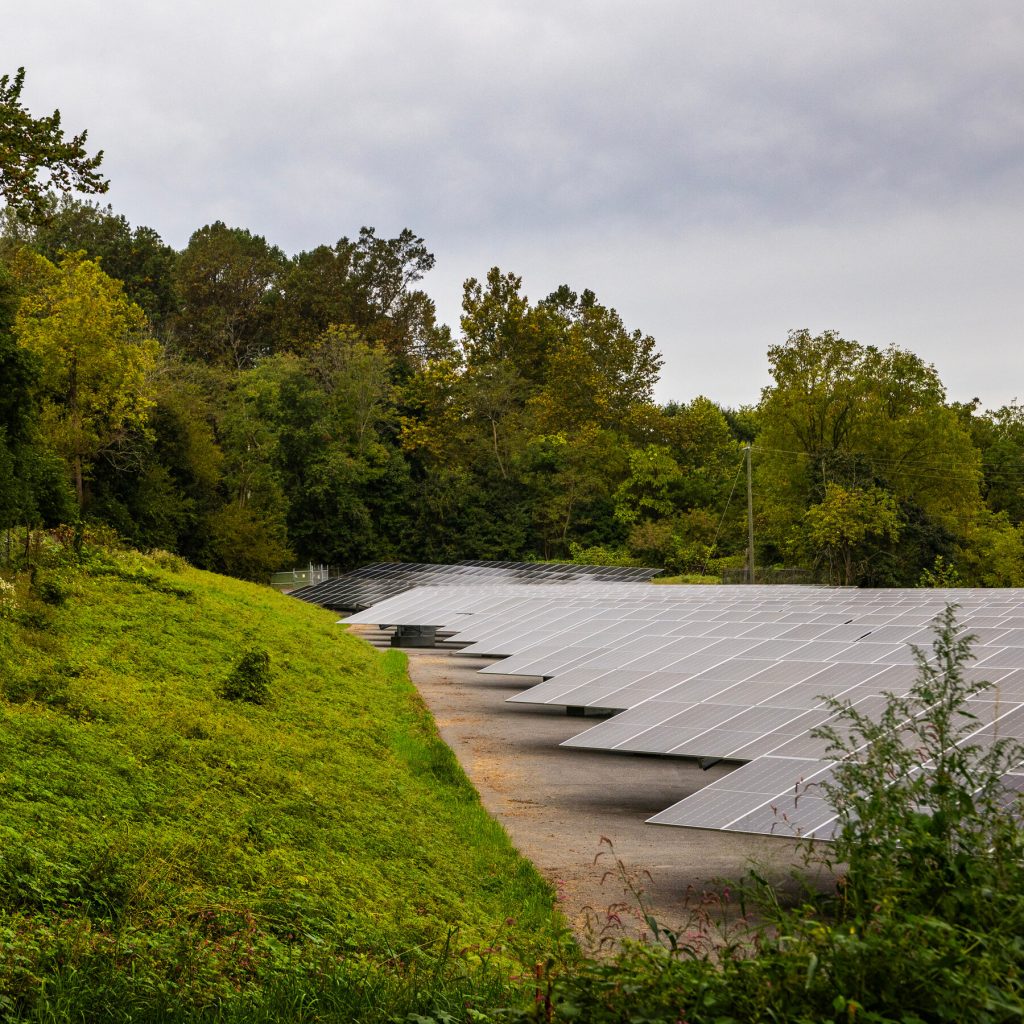 Renewable Energy Surges Forward Despite Trump’s Efforts to Hinder Growth