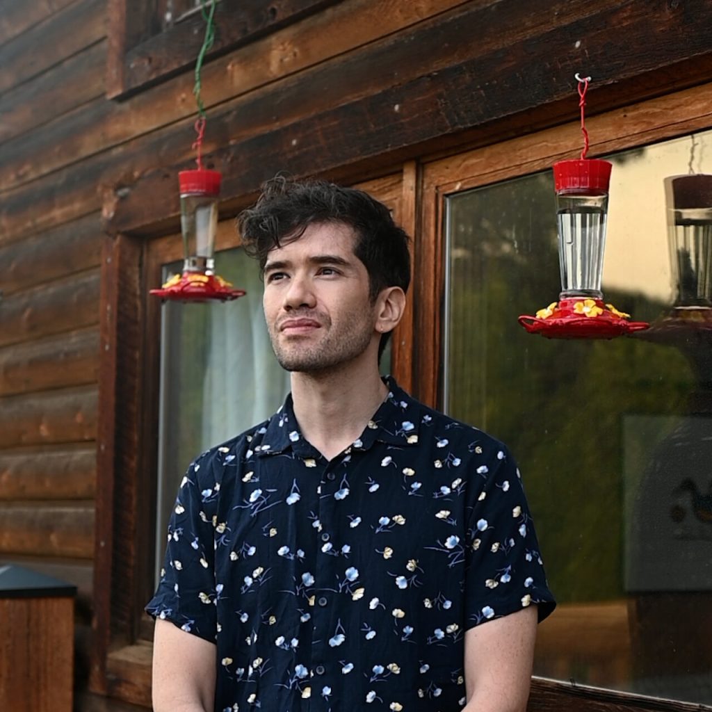 The Fascinating Case of Female Birds That Mimic Males