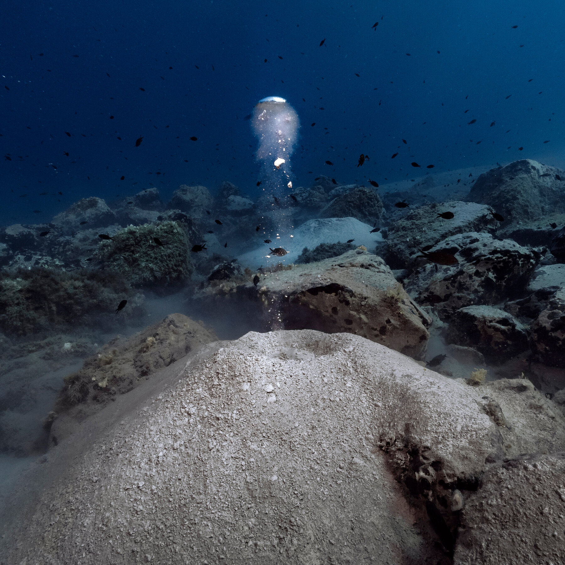 Undersea Bacteria Feast on Methane: Can They Help Cool the Planet?