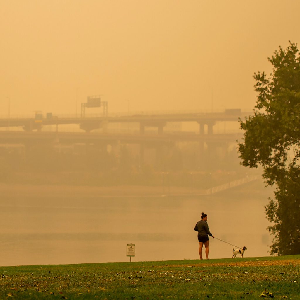 Protecting Your Furry Friends from Pollution