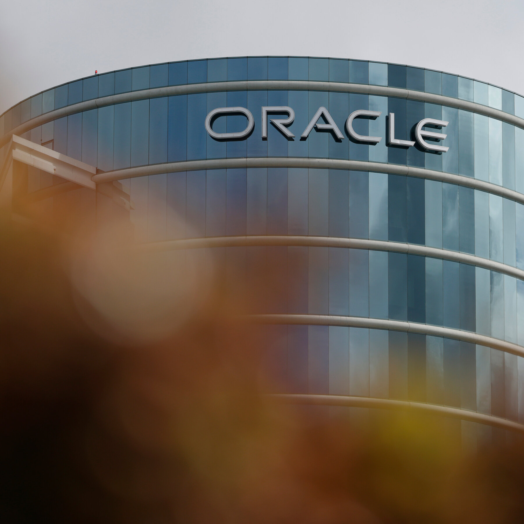 Oracle Fears Add to Doubts About the A.I. Rally