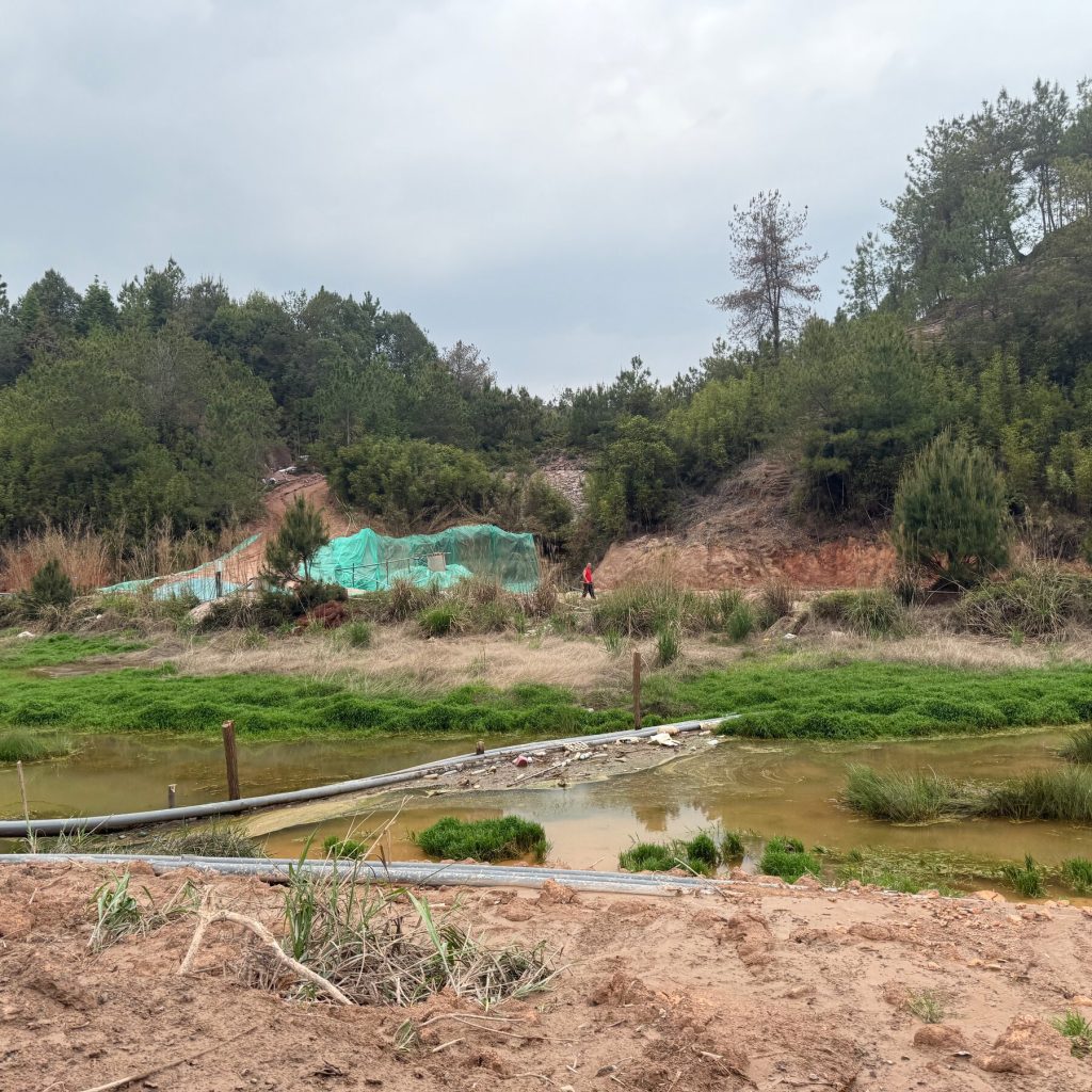 China Tightens Grip on Rare Earth Exports in Bid for Global Supply Dominance