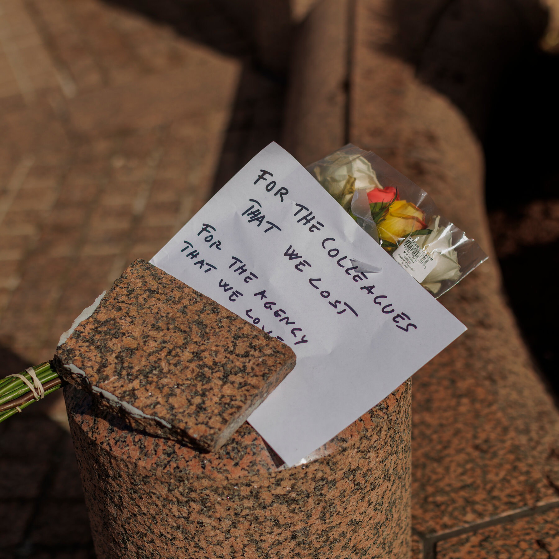 A Crushing Year for Science in America