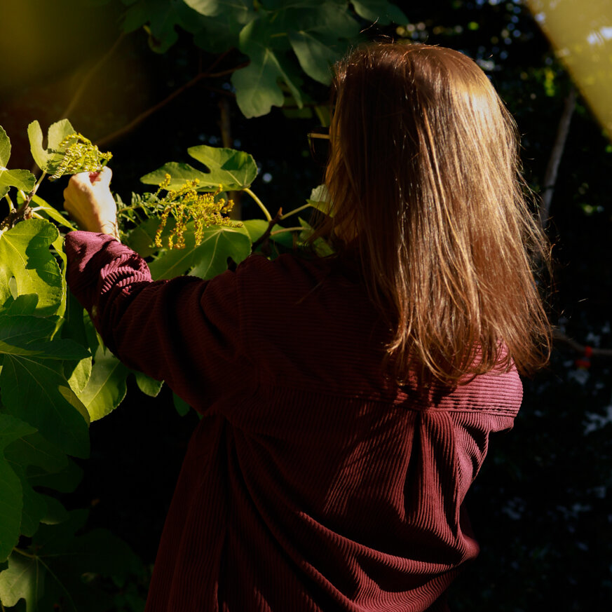 The Unexpected Diagnosis: Long Island Woman Contracts Chikungunya