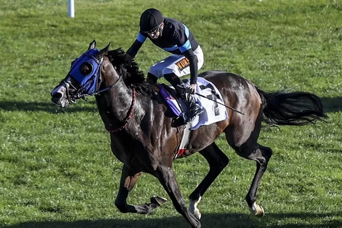 Talih Kuponu: 840 Lira Yatırıp 18 Milyon Kazandı