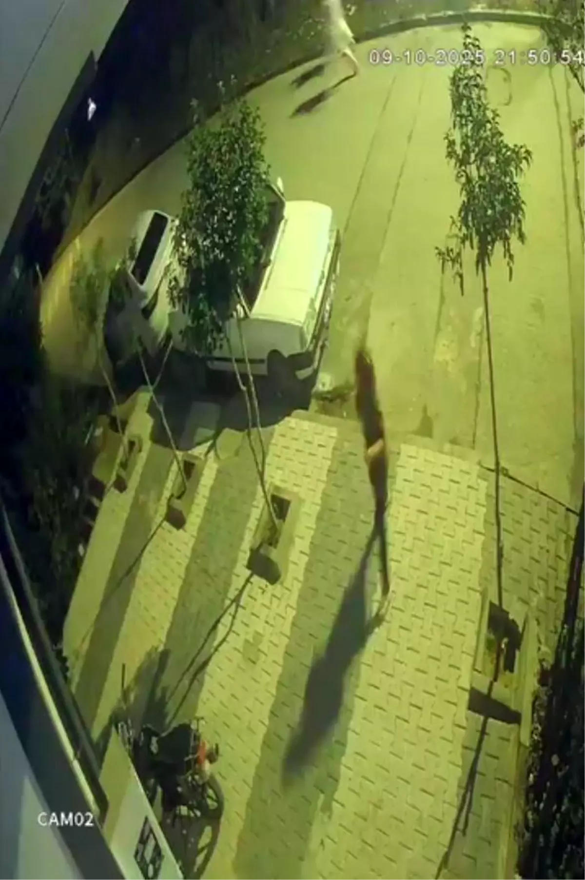 İstanbul Arnavutköy’de Faciadan Dönüldü: 3 Çocuk Ölümden Döndü