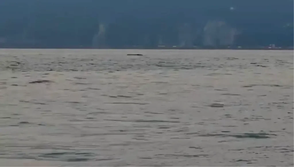 Artvin’de Balıkçıların Bulduğu İnsansız Deniz Aracı İmha Edildi