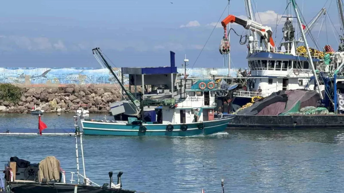 Hamsi Avı Beklenen Bereketi Vermiyor