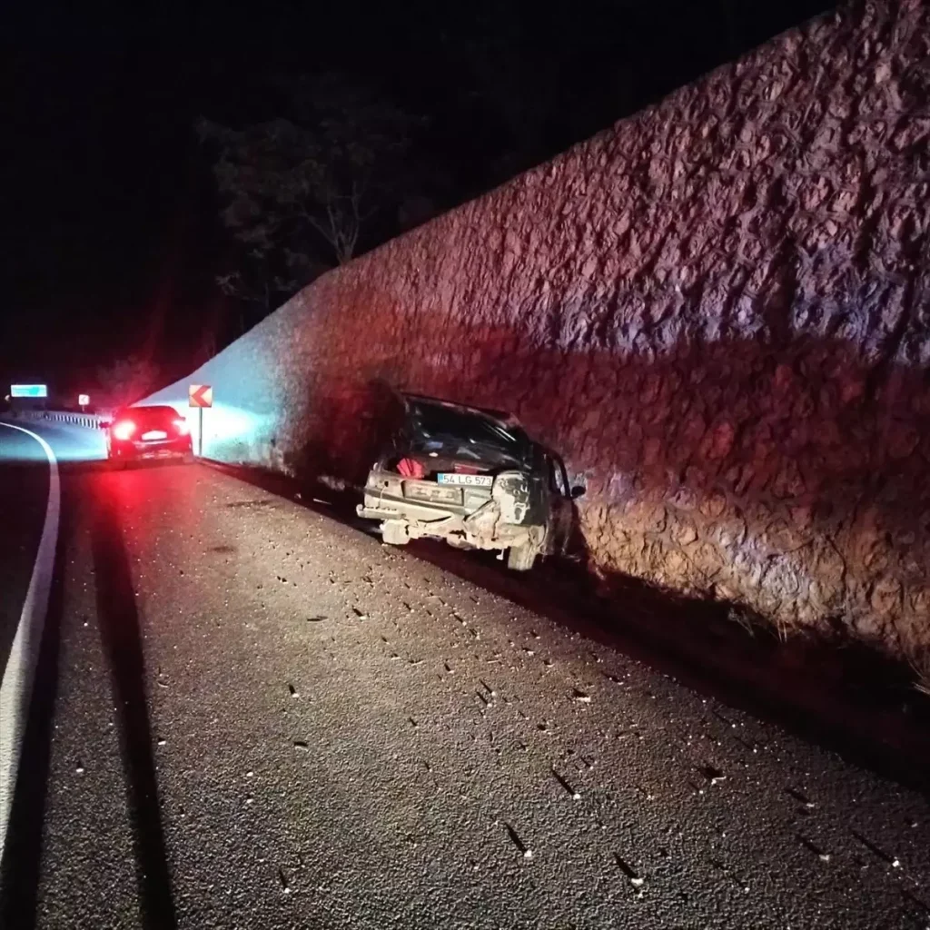 Bilecik’te Otomobil Şarampole Devrildi: Sürücü Yaralandı