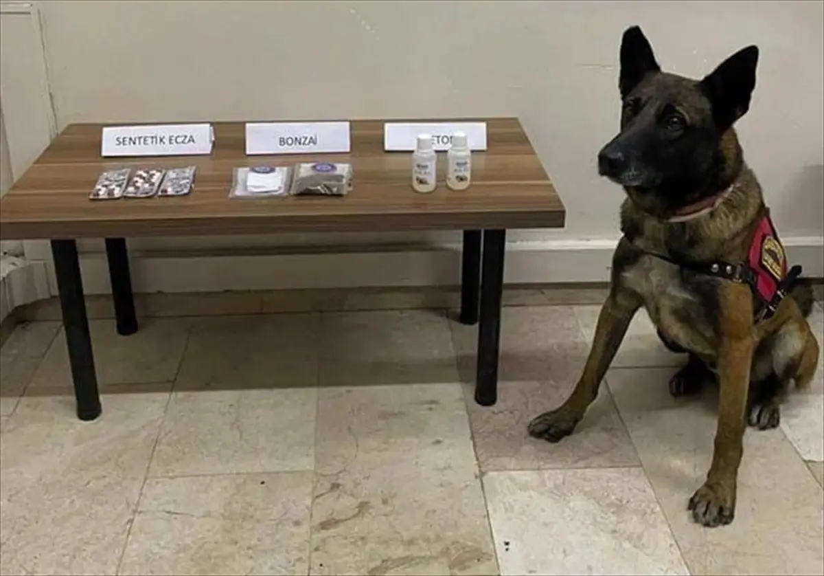 Uyuşturucu Operasyonunda 7 Zanlı Gözaltında