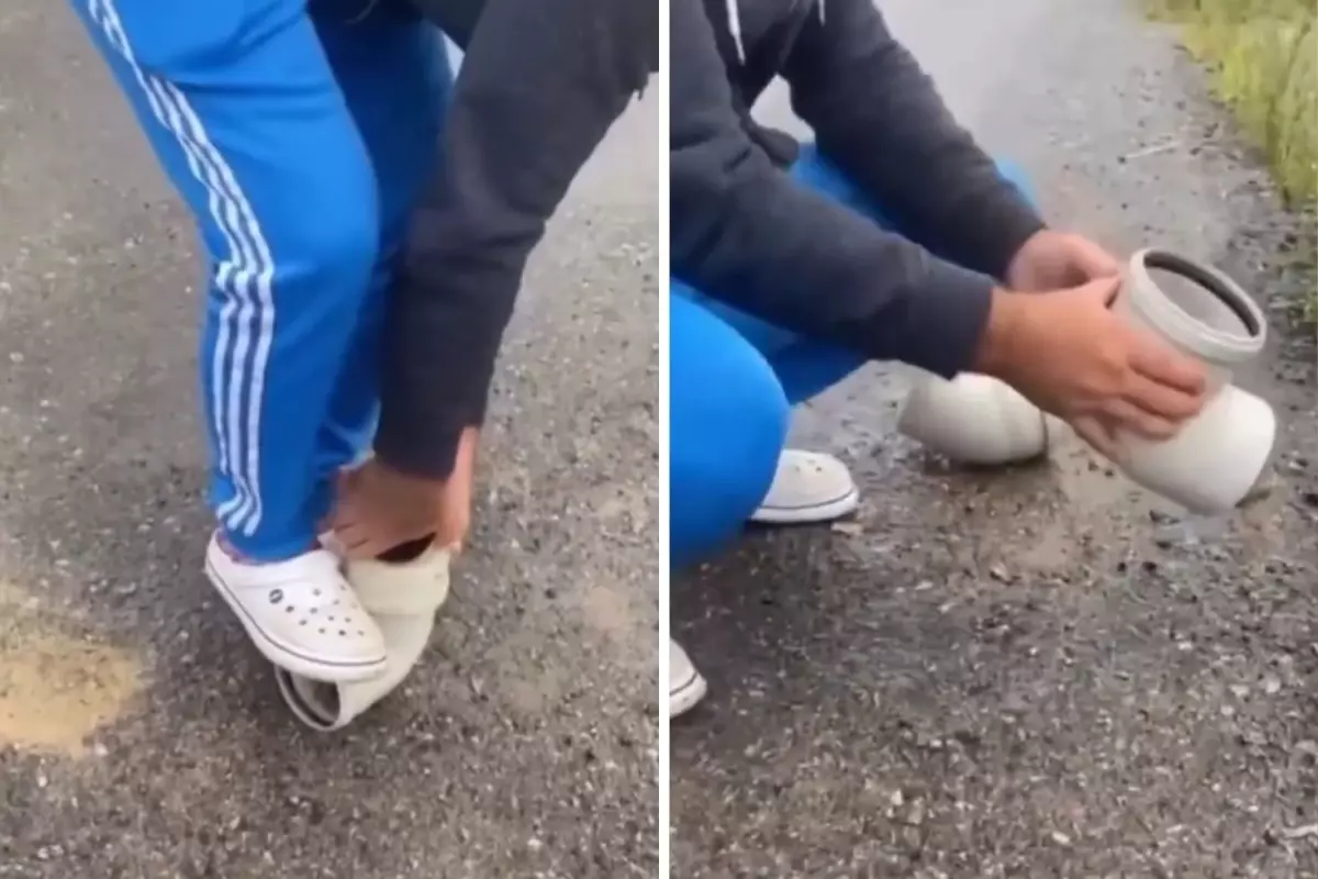 “Vatandaşın İyi Niyeti: Boruya Sıkışan Kirpi Kurtarıldı”