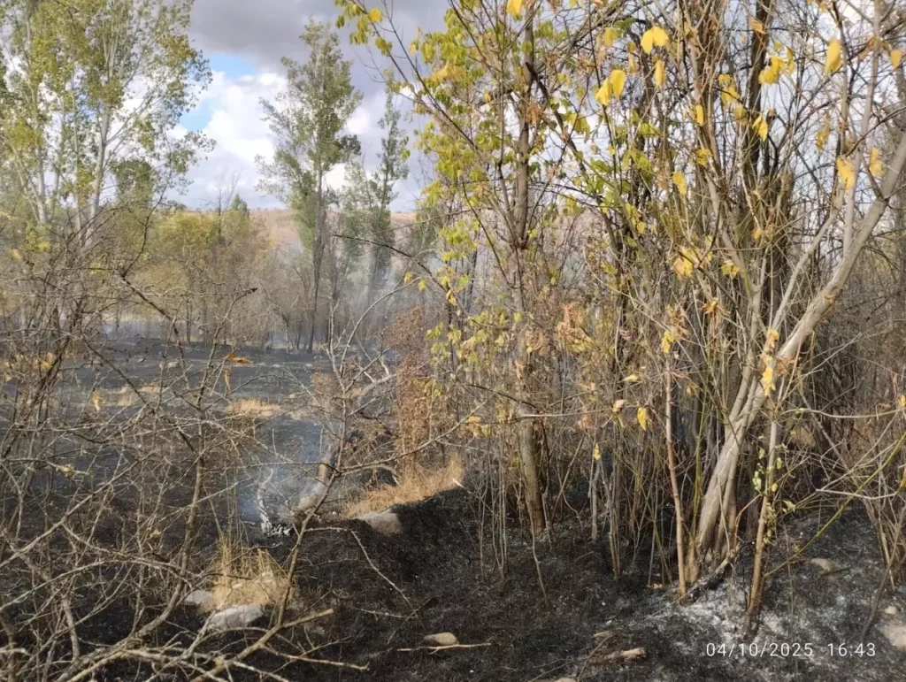 Çankırı’da Bahçelik Yangını Kontrol Altına Alındı