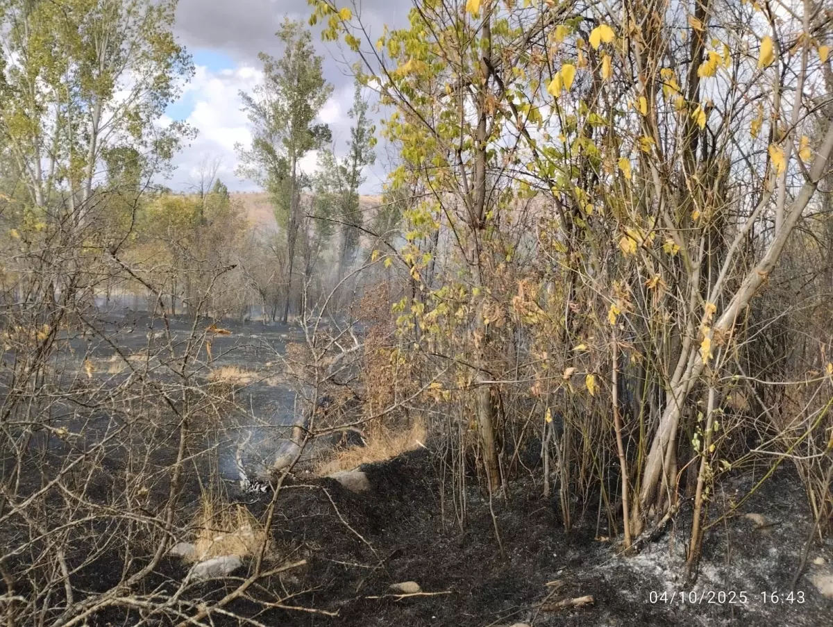 Çankırı’da Bahçelik Yangını Kontrol Altına Alındı