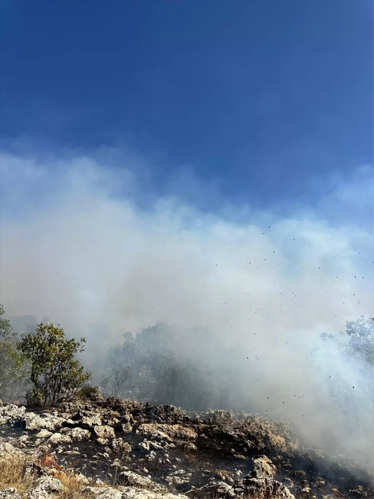 Diyarbakır’da Kırsal Alanda Örtü Yangınına Müdahale