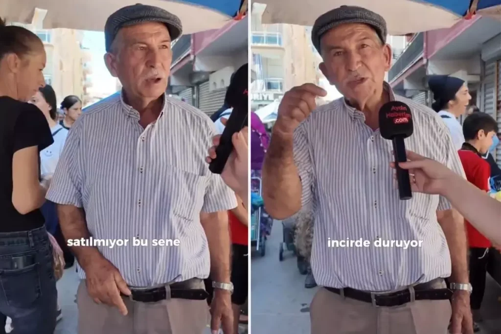 İncir Üreticileri Ekonomik Sıkıntıda