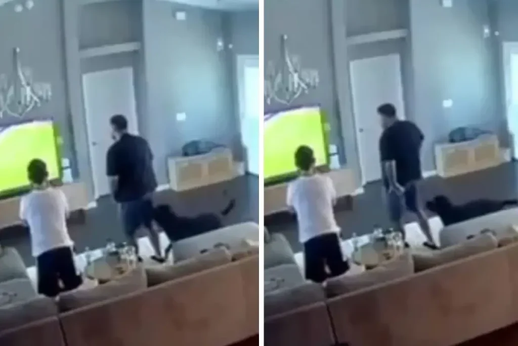 Galatasaray Zaferi Vatandaşı Köpek Isırığına Uğrattı