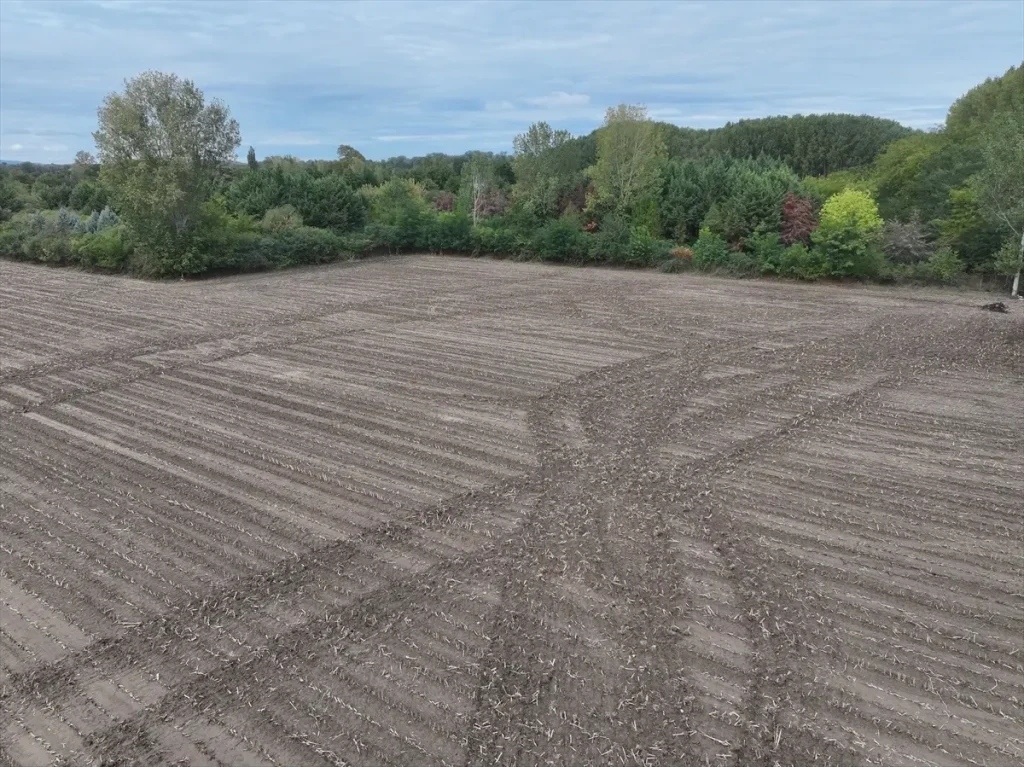Trakya’da Yağışlar Çiftçilerin Yüzünü Güldürdü