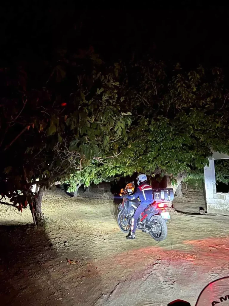 İncir Hırsızlıklarına Karşı Jandarma Denetimleri Arttı