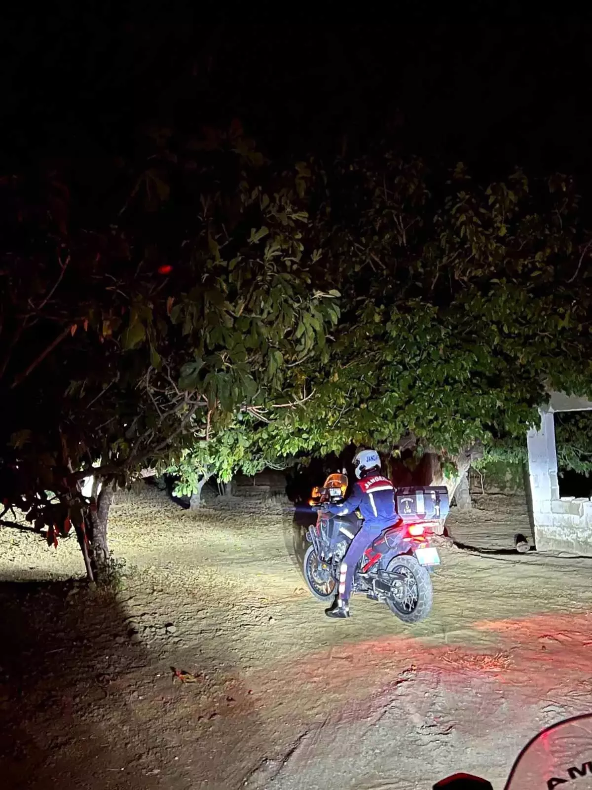 İncir Hırsızlıklarına Karşı Jandarma Denetimleri Arttı