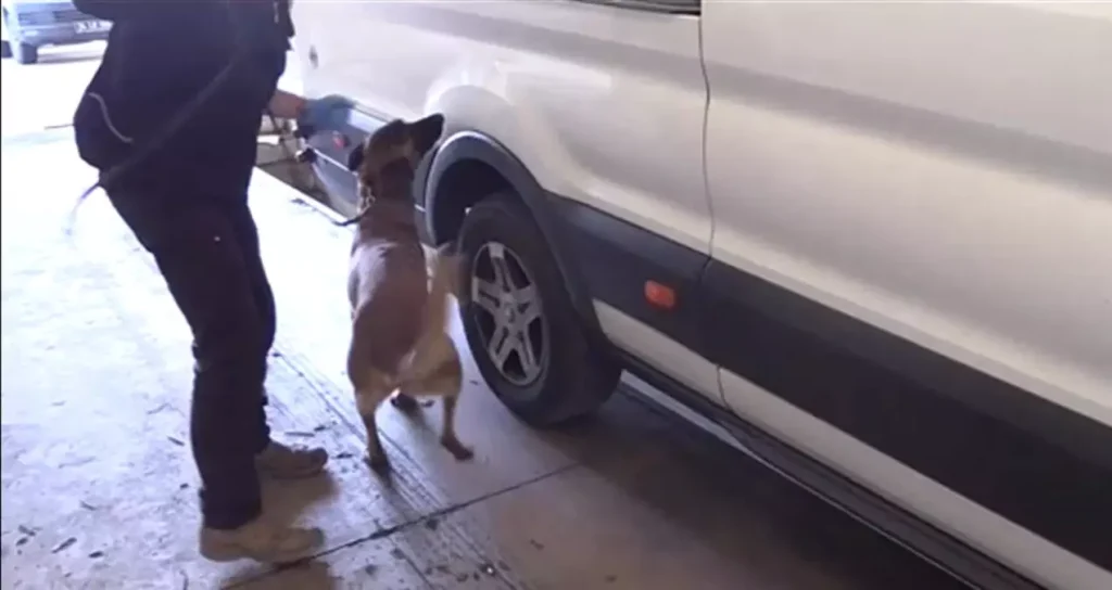 Kapıkule’de 36 Kilo Kokain Ele Geçirildi