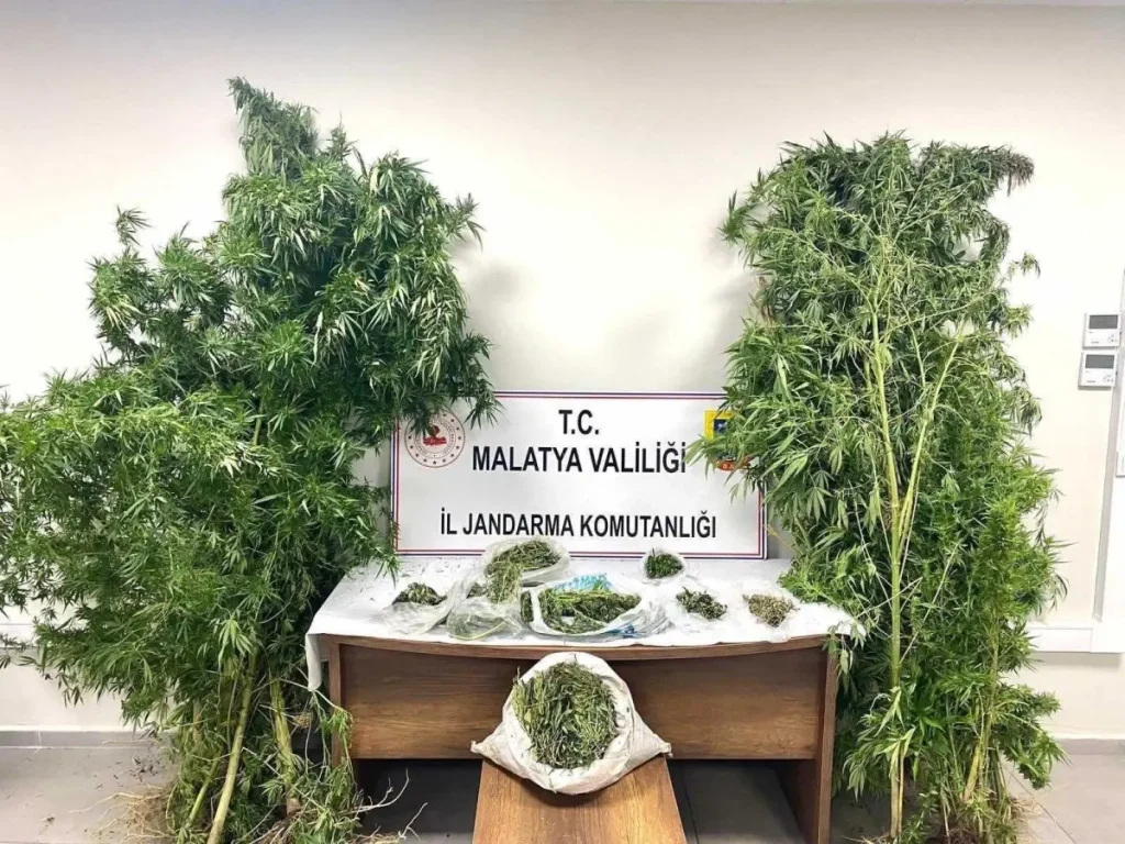Malatya’da Uyuşturucu Operasyonu: 5 Şüpheli Tutuklandı
