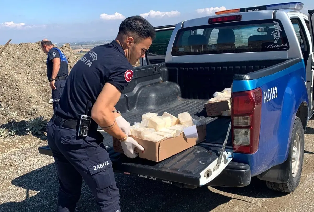 Manisa’da 49 Kilo Bozuk Peynir İmha Edildi