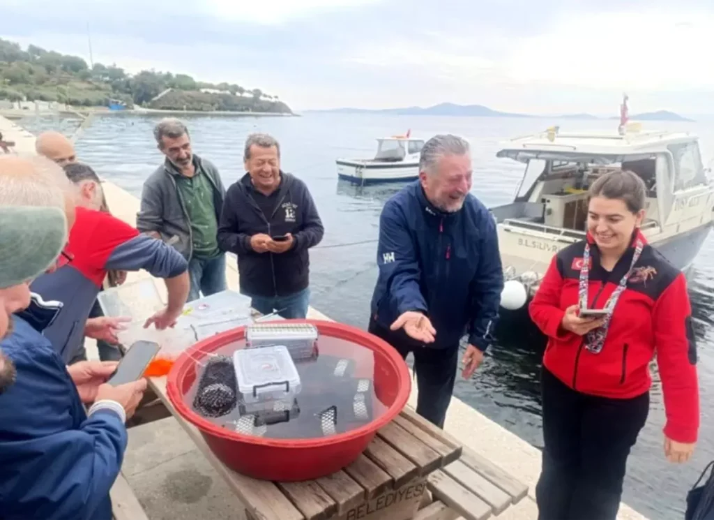 Marmara’da 400 Istakoz Yavrusu Yapay Resiflere Bırakıldı