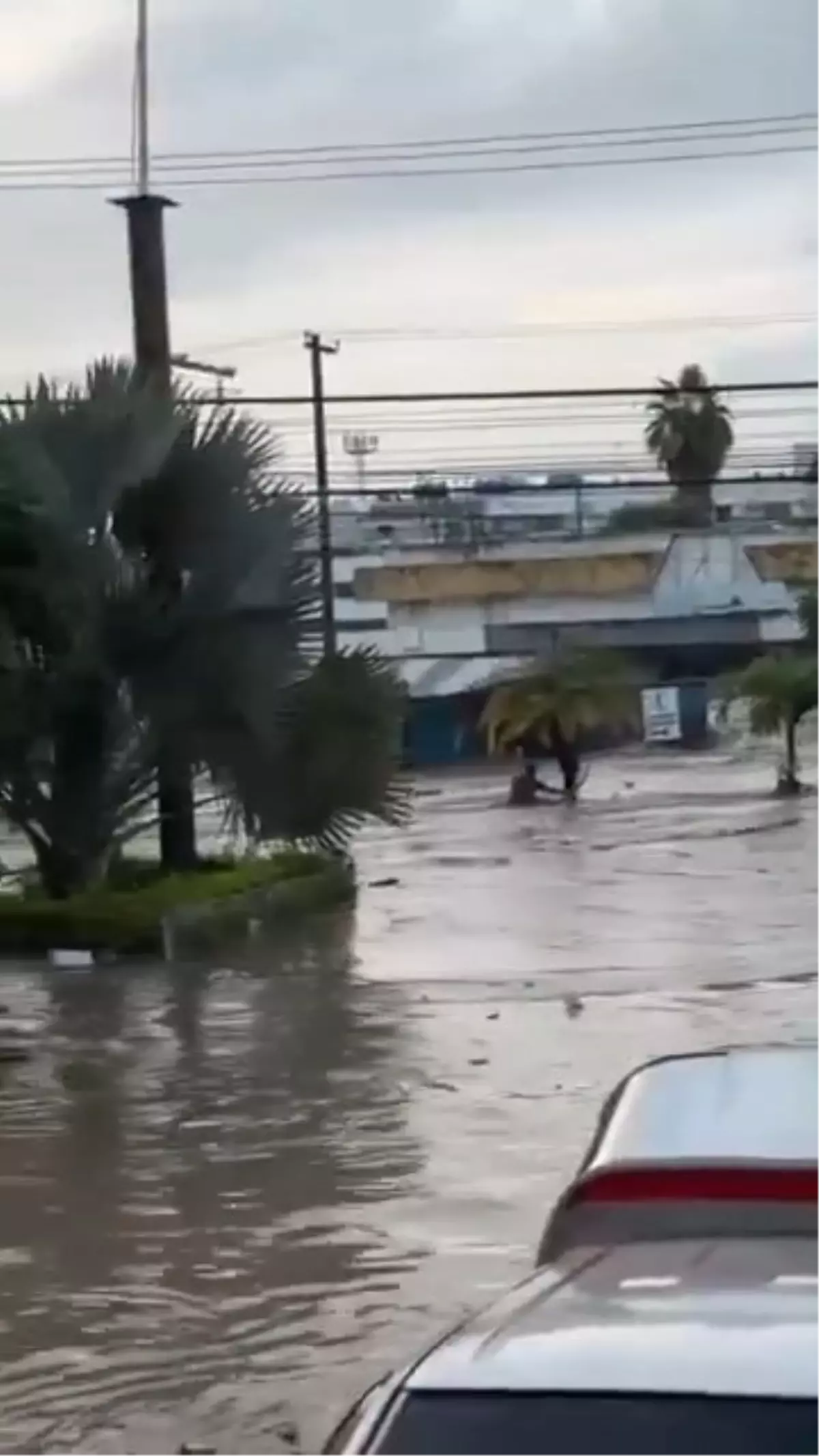 Meksika’da Şiddetli Yağışlar 41 Canı Aldı